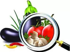 新规来了！5月1日起，平阳这样管路边摊玩具