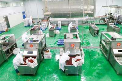 浙江名企“百草味”新疆工厂投产，助推新疆食品产业升级与区域协同发展