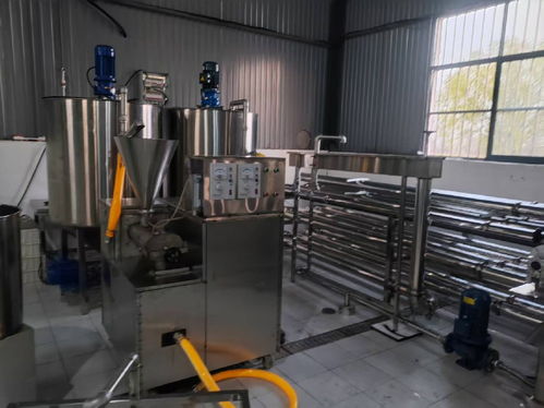 仿生智造领风潮 2025年大荔县大朝食品厂魔芋加工设备标杆解析